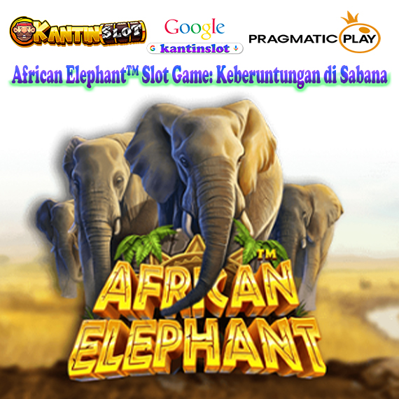 African Elephant™