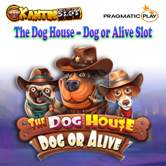 The Dog House – Dog or Alive Slot